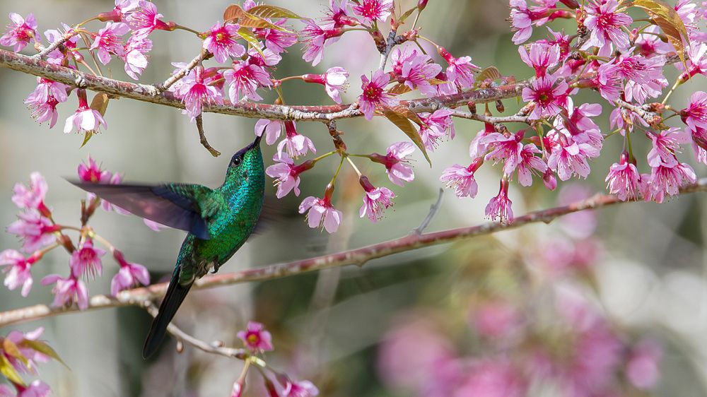Photograph by Luiz Augusto Magina