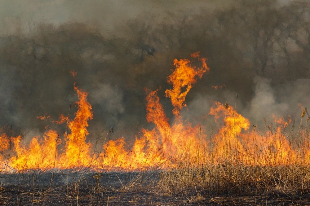 Photograph by Sergey Tsubanov