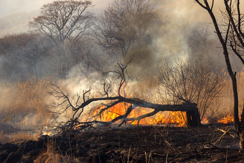 Photograph by Sergey Tsubanov