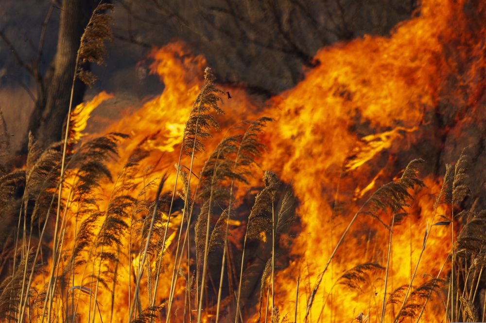 Photograph by Sergey Tsubanov