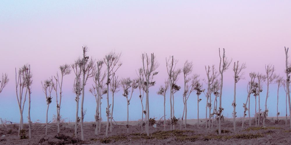 Photograph by Pieces Of moment