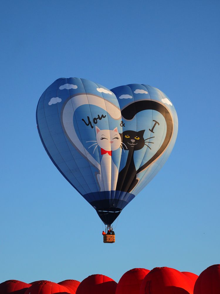 Photograph by Дмитрий Потапов