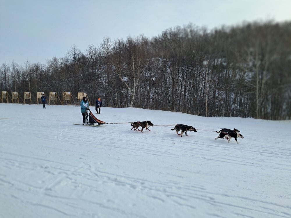 Photograph by Nadezhda