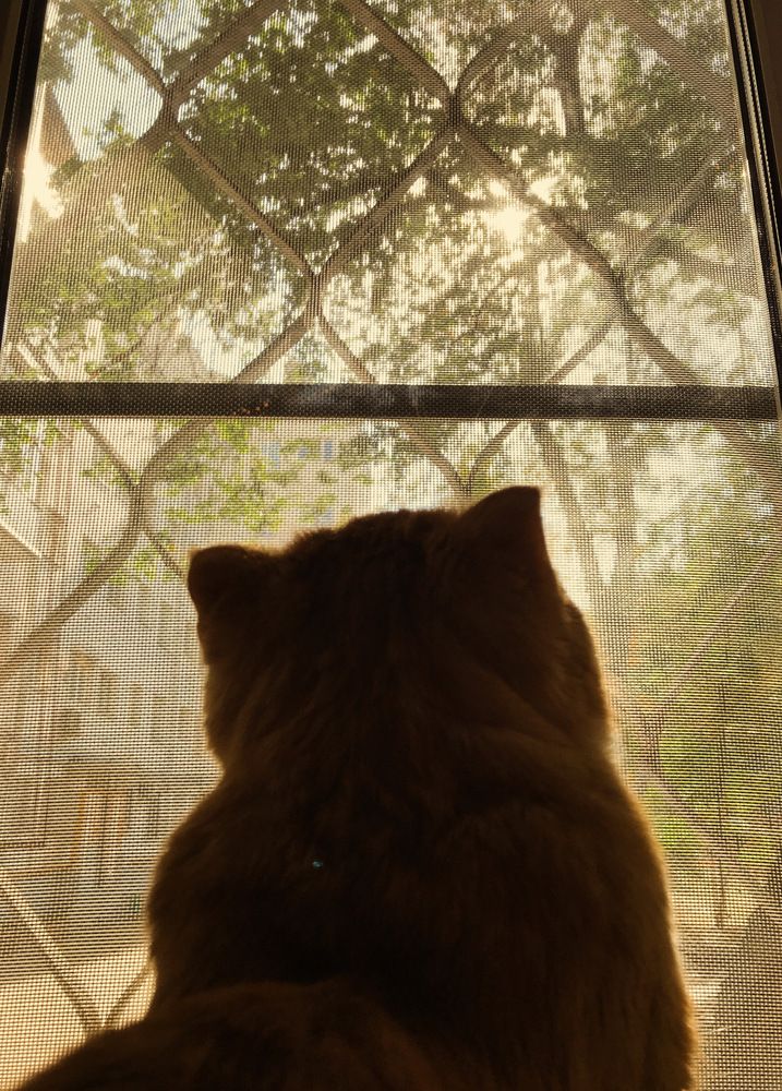 Photograph by Anastasia Bryusova