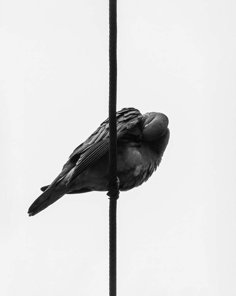 Photograph by lourdes Peralta