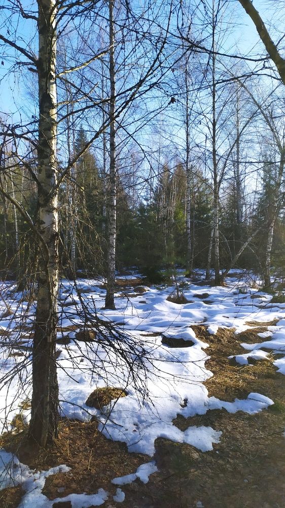 Фотография автора Евгения