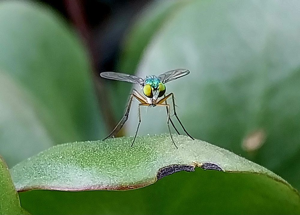 Photograph by Rahul Raman