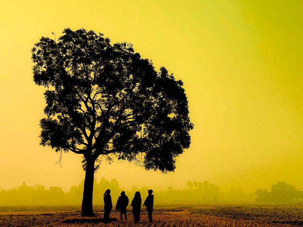 Photograph by Shibly Hossain