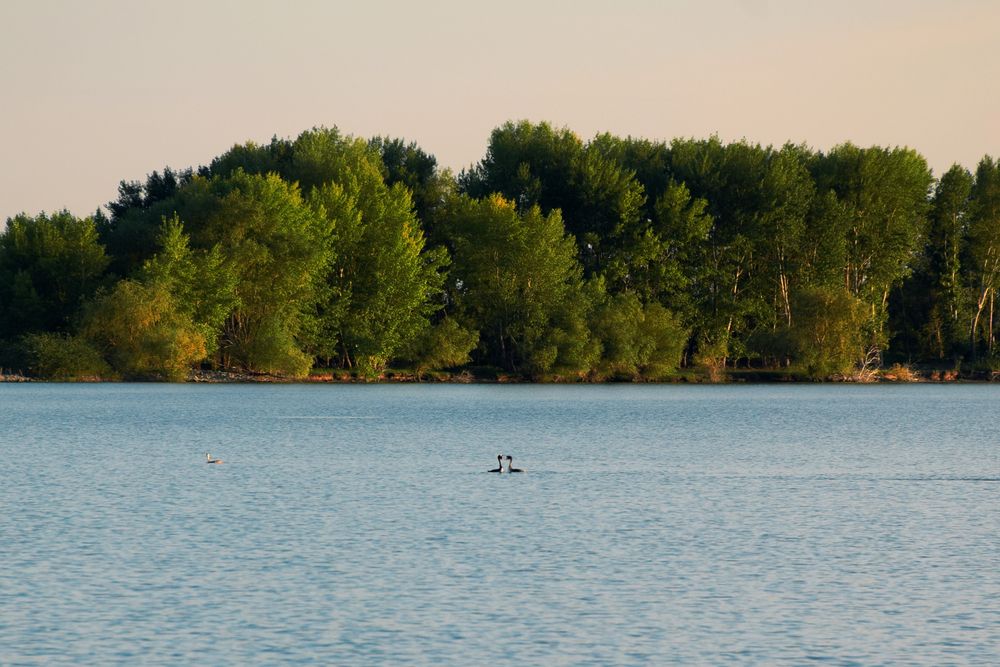 Photograph by  Татьяна Дорожко