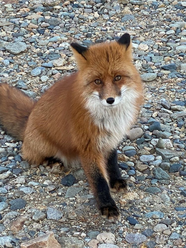 Фотография автора Наталья Вертугина