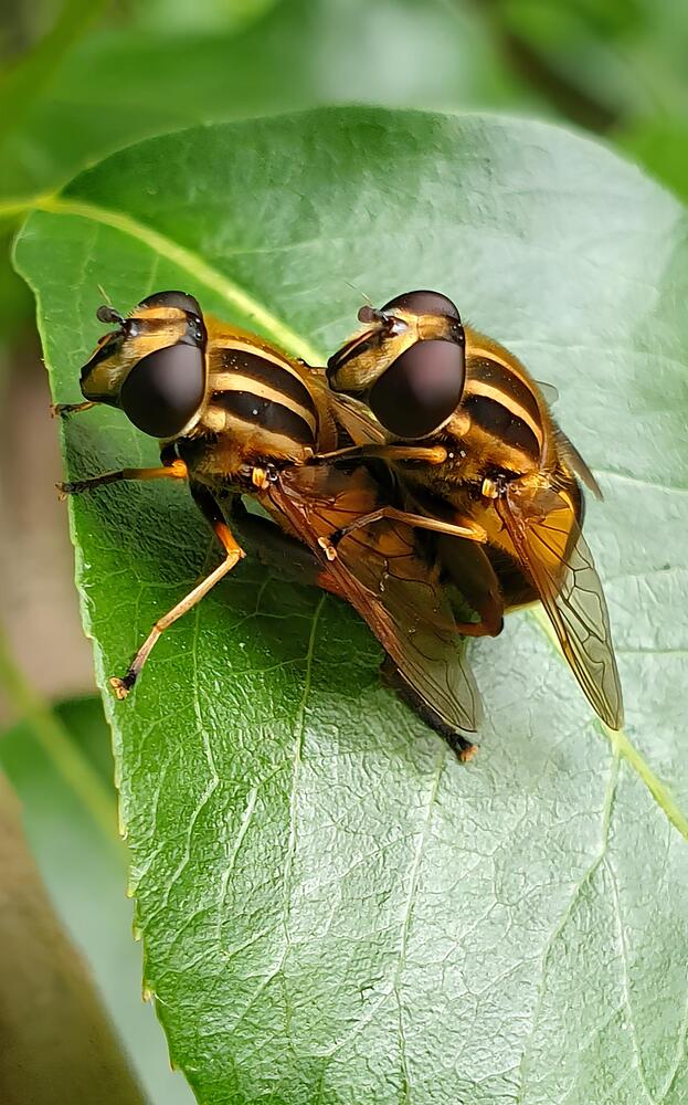 Photograph by Дмитрий