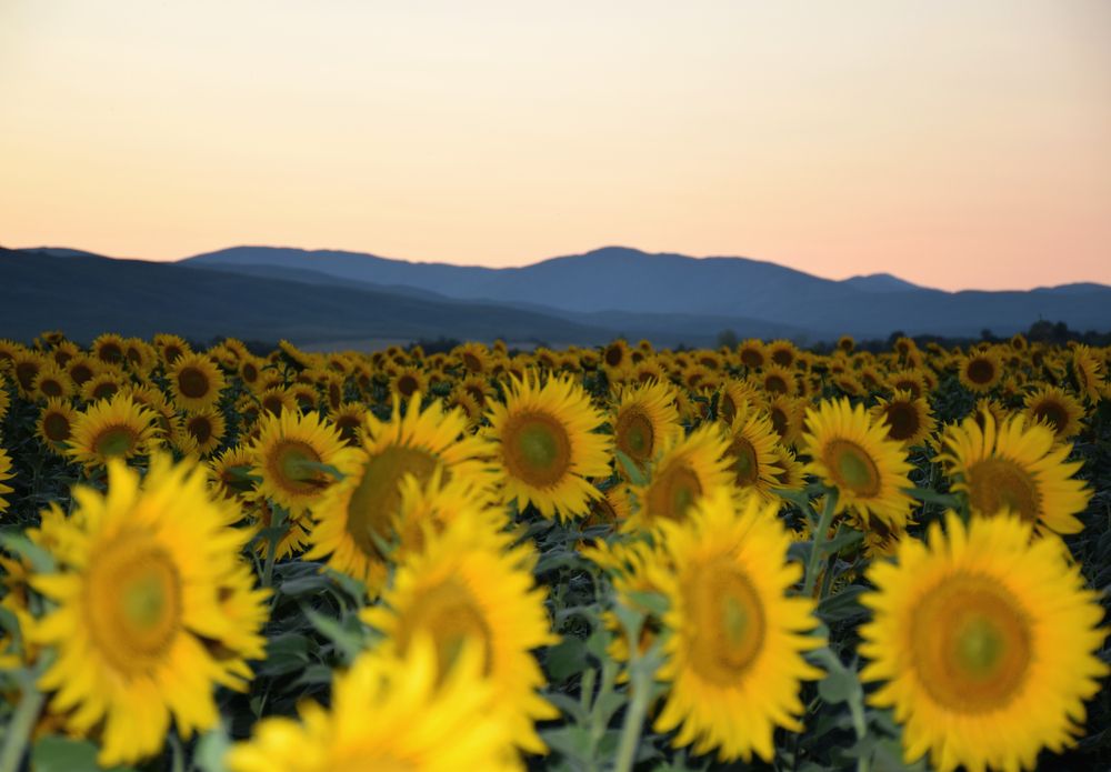 Photograph by  Татьяна Дорожко