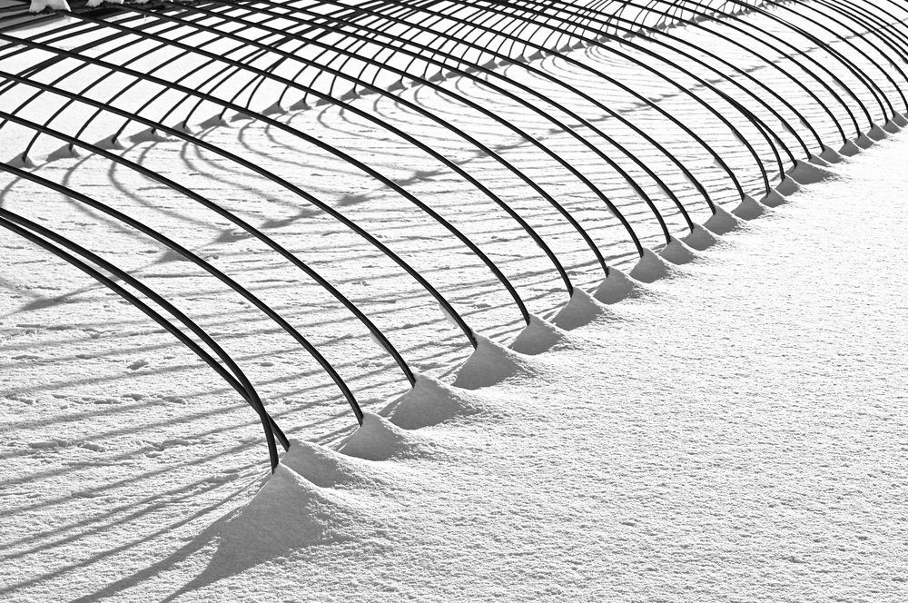 Photograph by Nobu-Oh