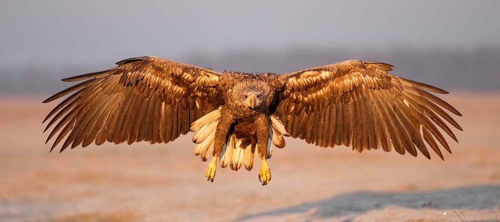 Photograph by Tímea Ambrus