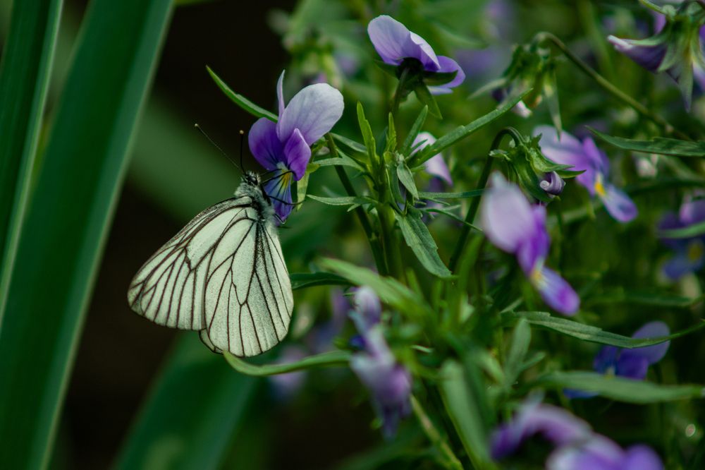 Photograph by Евгений Авдеев
