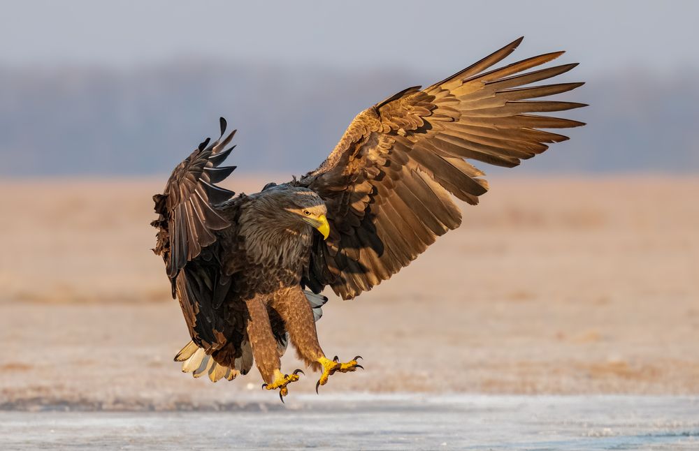 Photograph by Tímea Ambrus