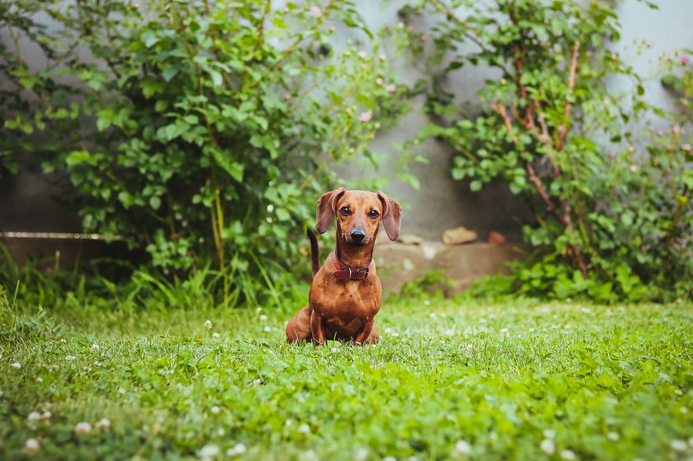 Photograph by Екатерина Михайлова