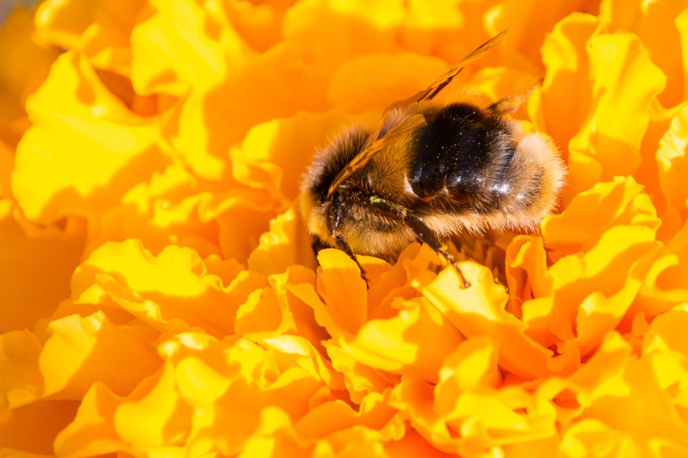 Photograph by Евгений Авдеев