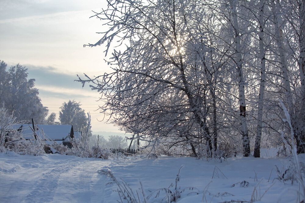 Photograph by Евгений Авдеев