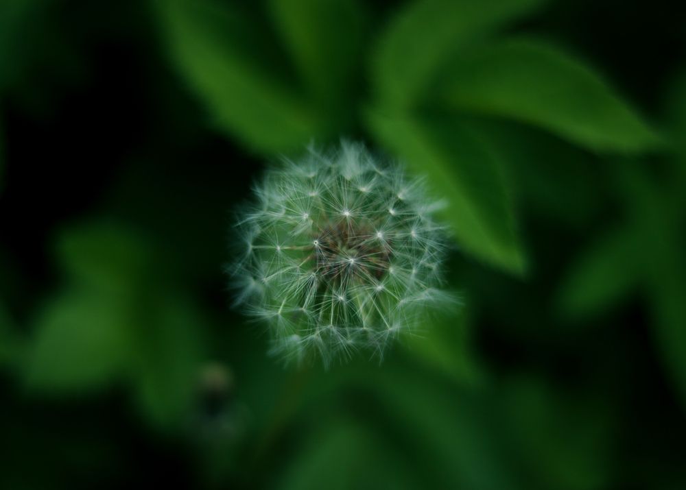 Photograph by Екатерина Михайлова