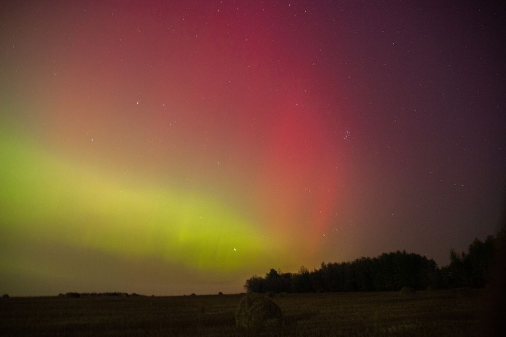 Photograph by Алексей Борисов