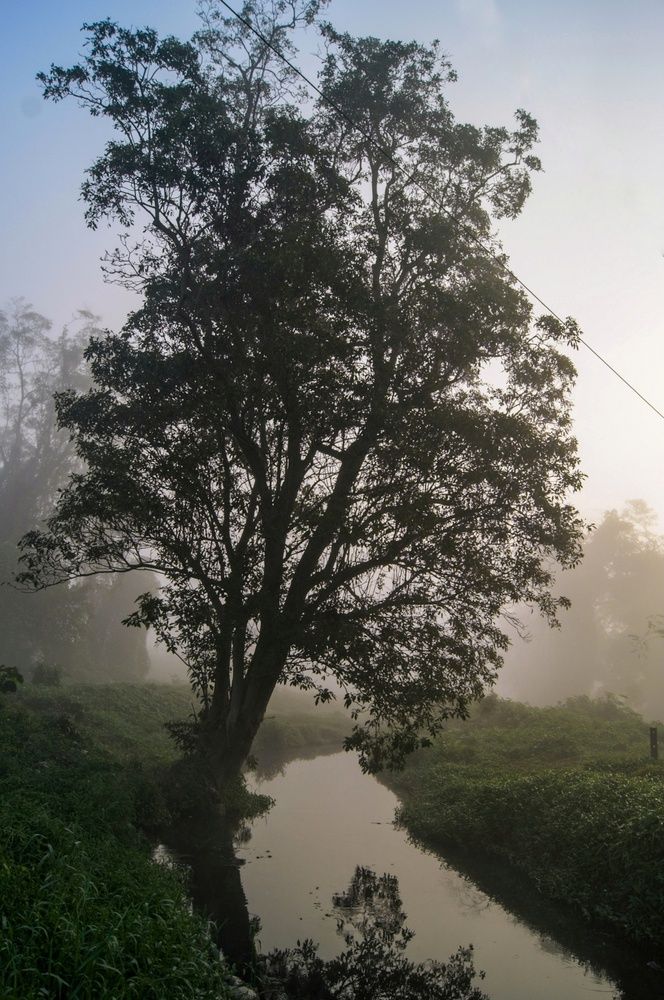 Photograph by Julio Felipe Santo Tomas