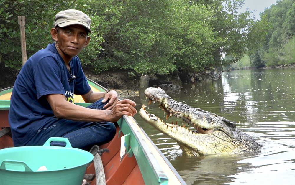 Pak Ambo and Riska A tale of friendship between a man and a wild crocodile
