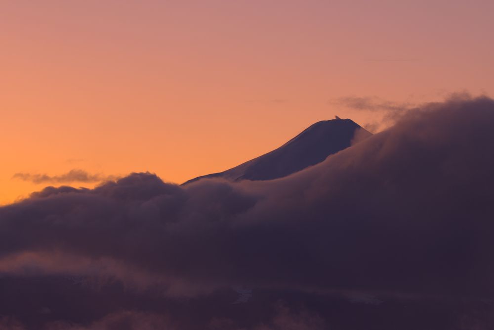 Photograph by Andrés Carmona