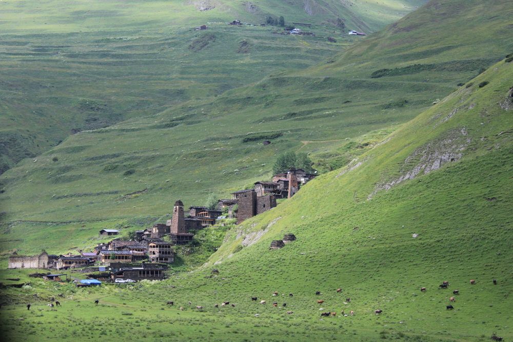 Tusheti.Dartlo