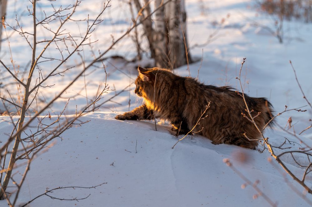 Photograph by Алексей Александрович