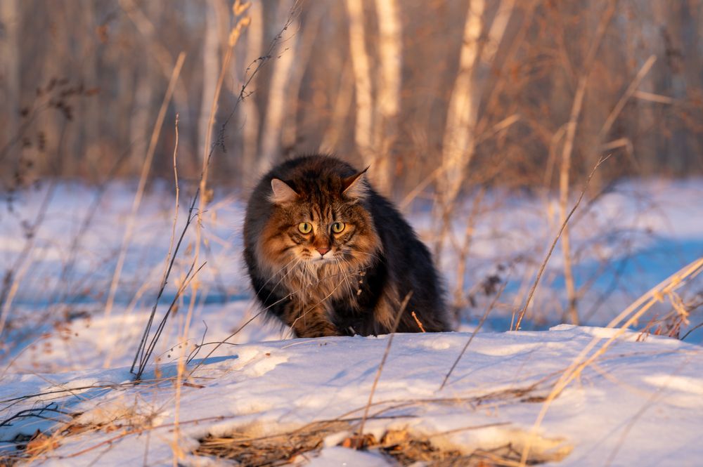 Photograph by Алексей Александрович