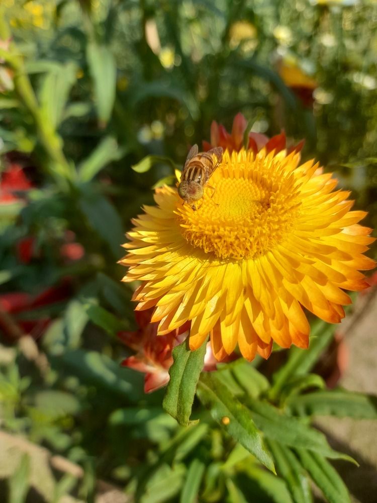 Photograph by BHUPENDRA LODHI