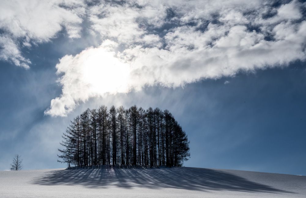 Photograph by Vladimir Vorobeychik