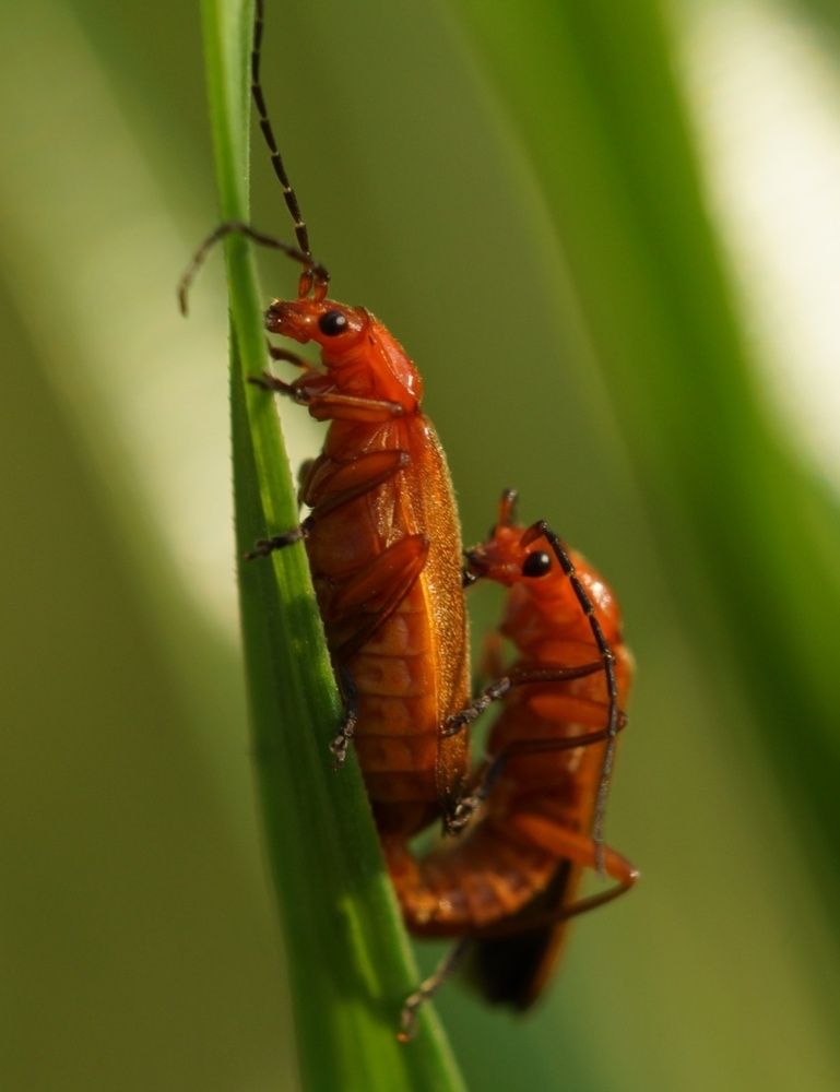 Photograph by Дмитрий