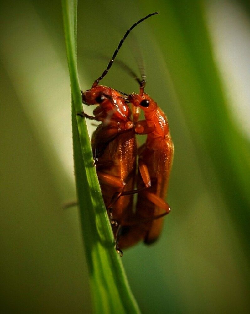 Photograph by Дмитрий Сорокин