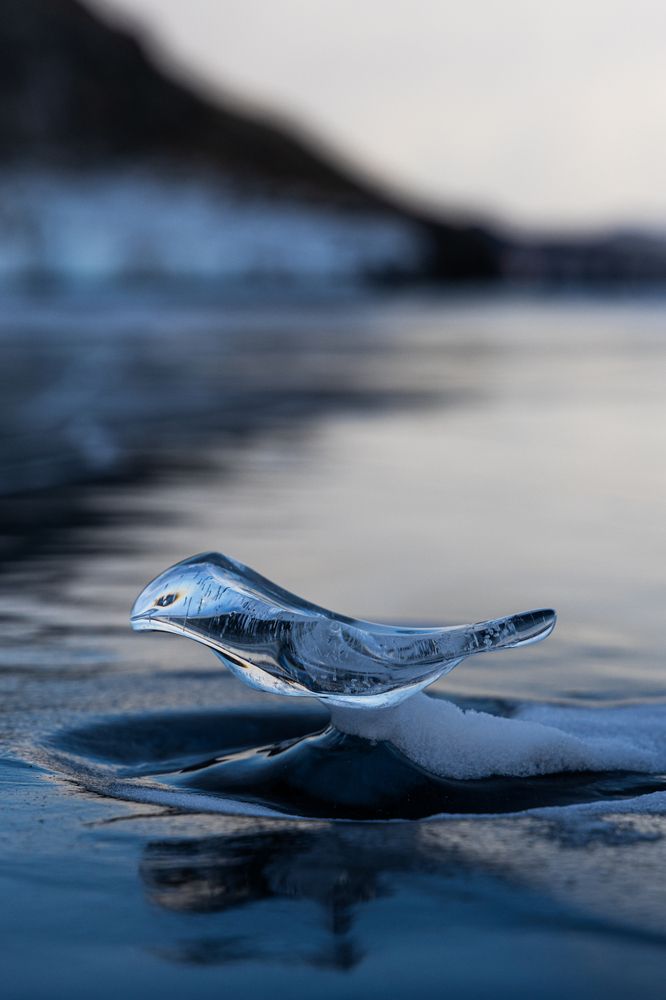 Photograph by Михаил