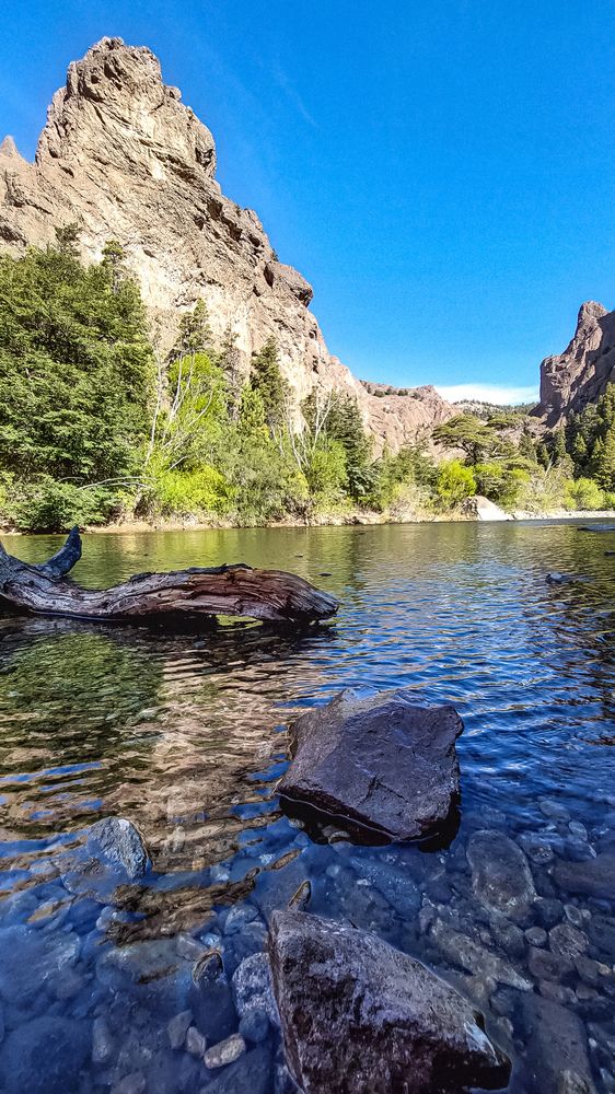 Фотография автора Patricia