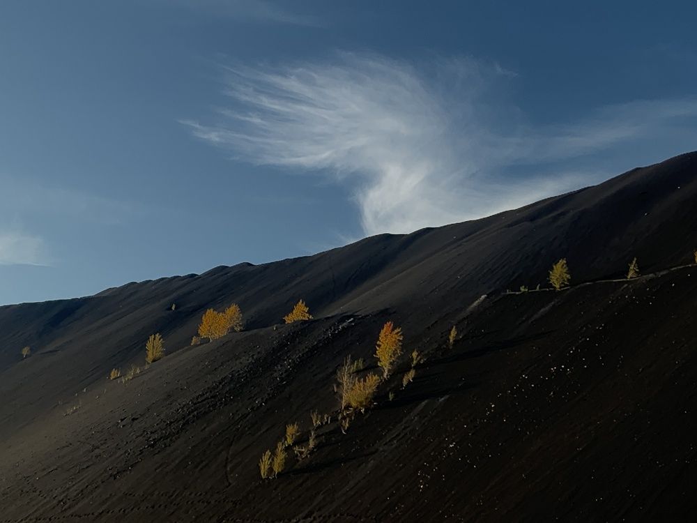 Photograph by Инна Макеева