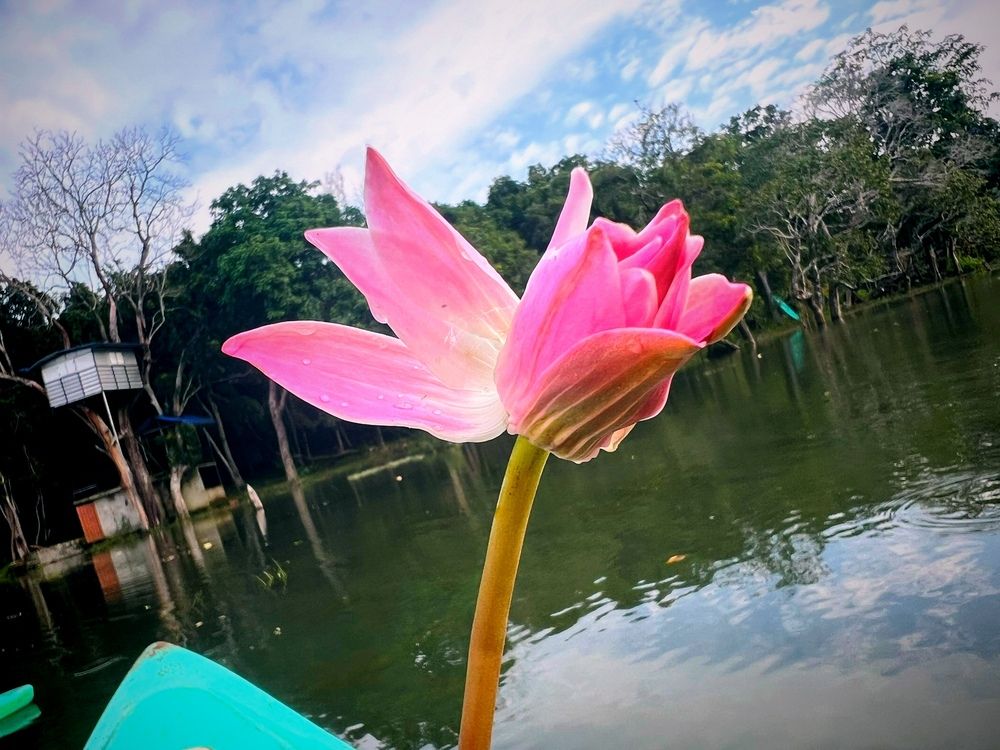 Photograph by Jeyapriyan Ratheesan