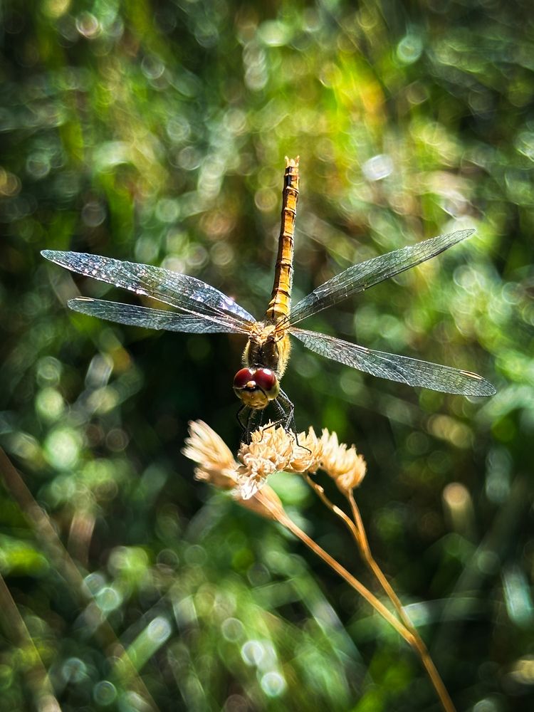 Photograph by Екатерина Козлова