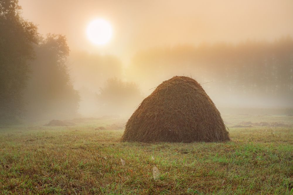 Запоздалый восход