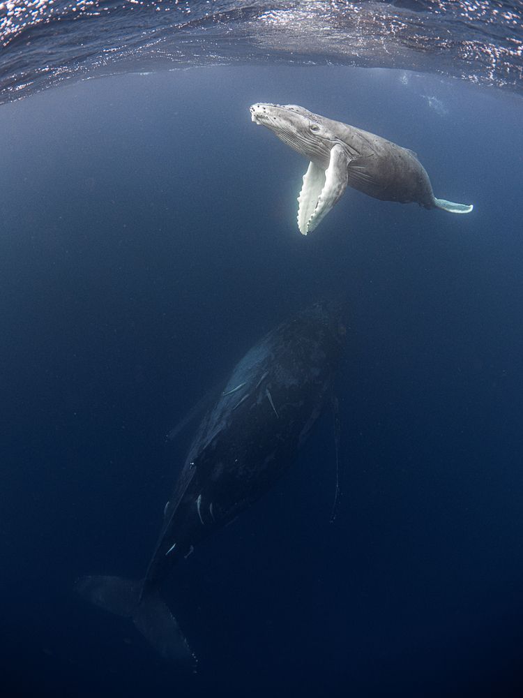 Photograph by Asahina Akira