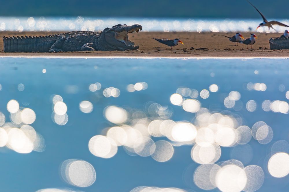 Photograph by Abhisek Acharya