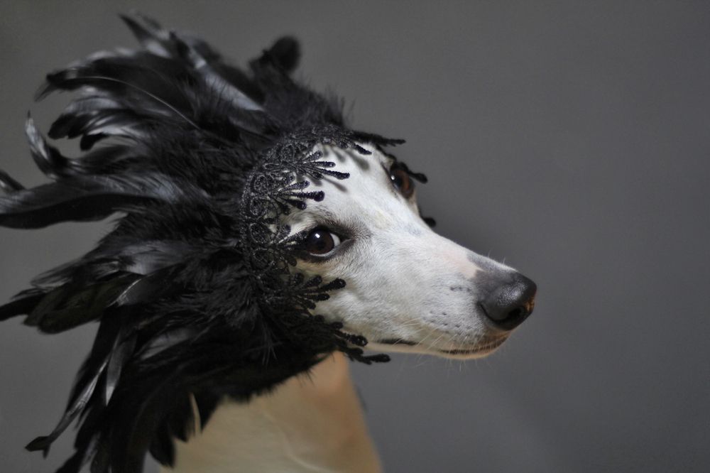 Photograph by Елизавета Болотникова