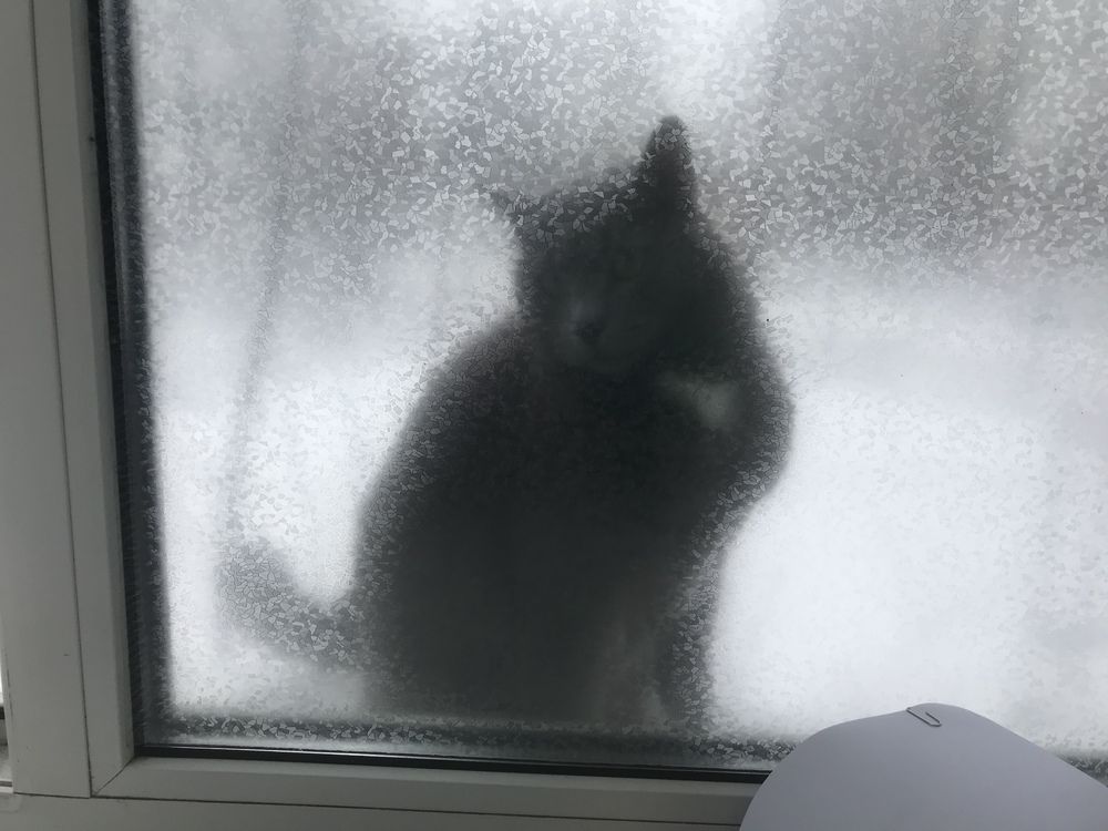 Photograph by Ольга Сафронова