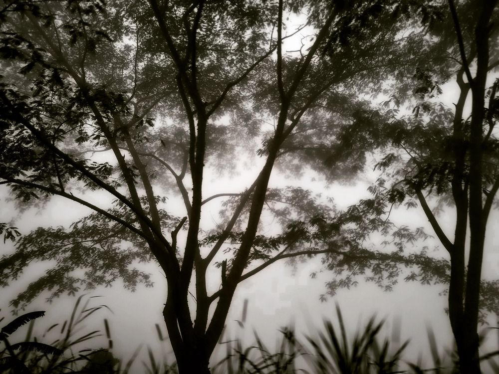 Photograph by Sharon Sabharwal