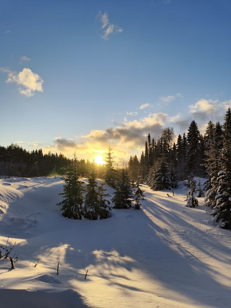 Photograph by Евгений Поздеев