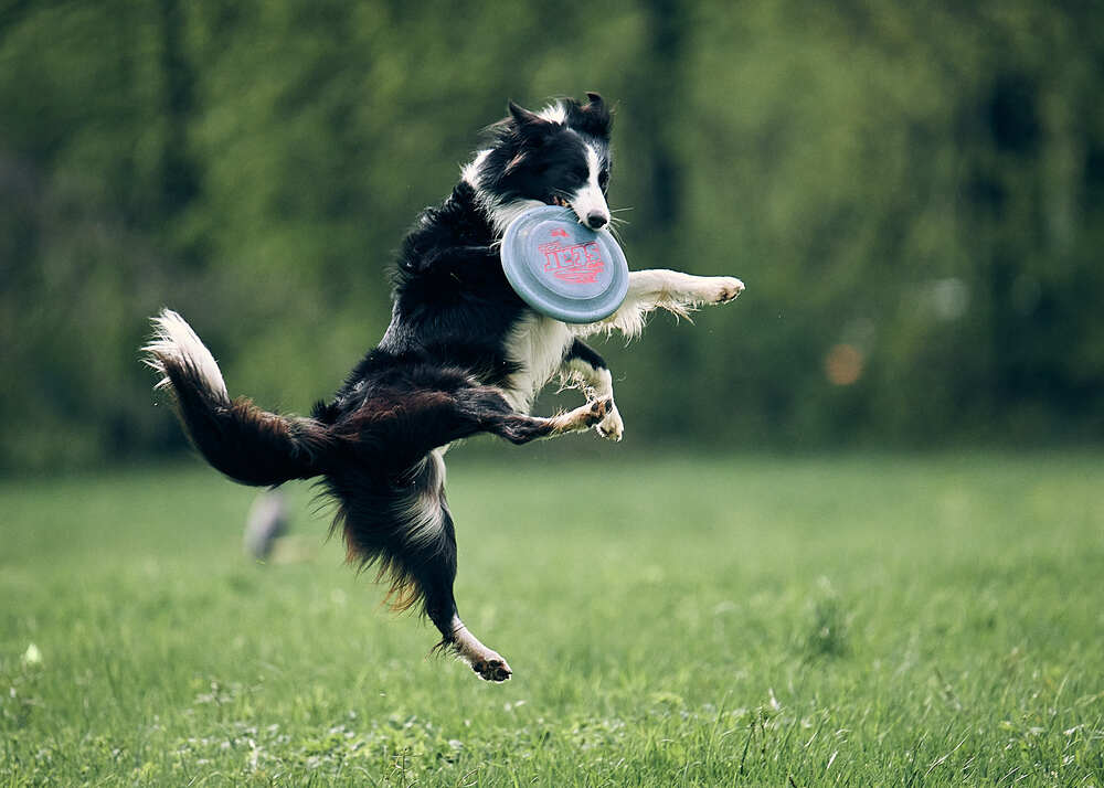 Photograph by Mikhail Khmelevskiy