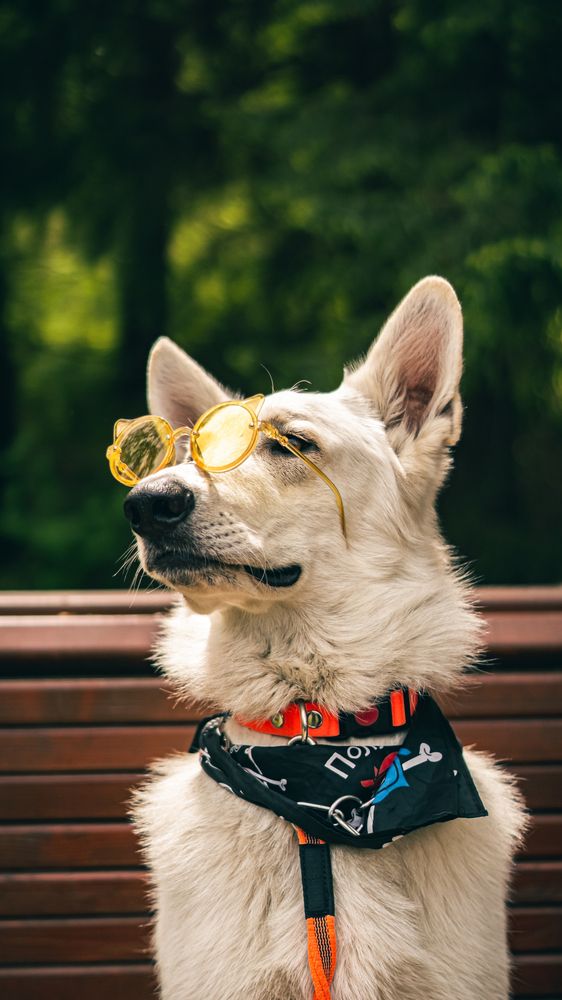 Photograph by Алина Плотникова