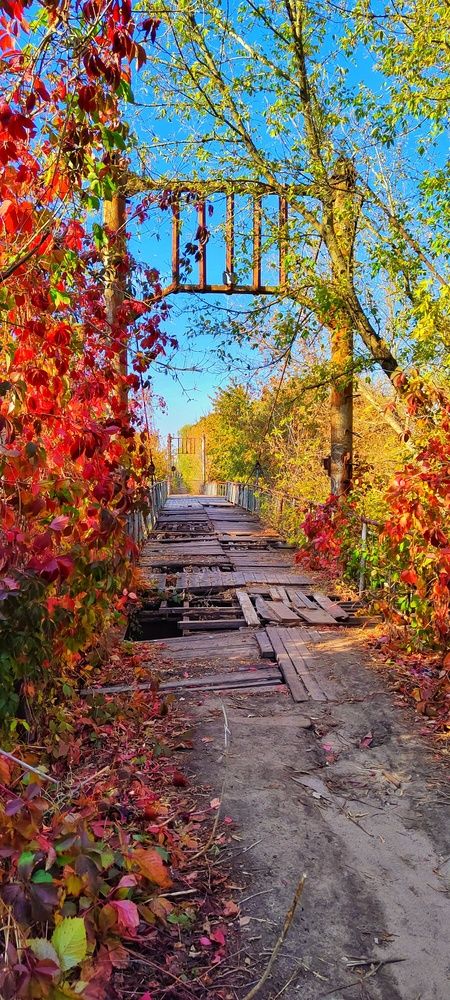 Photograph by Ольга Золотарева